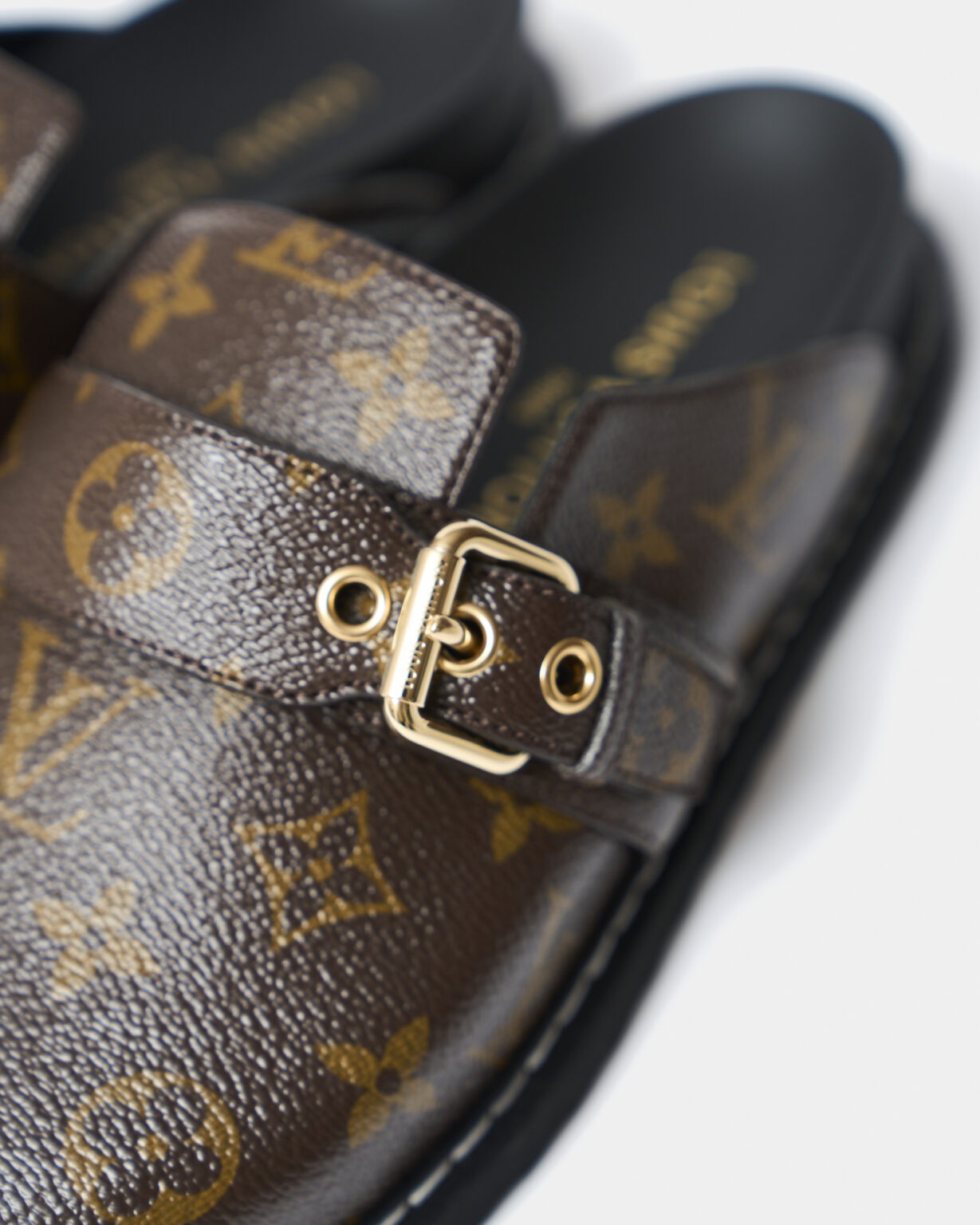 Louis Vuitton Cosy Comfort Clog Monogram