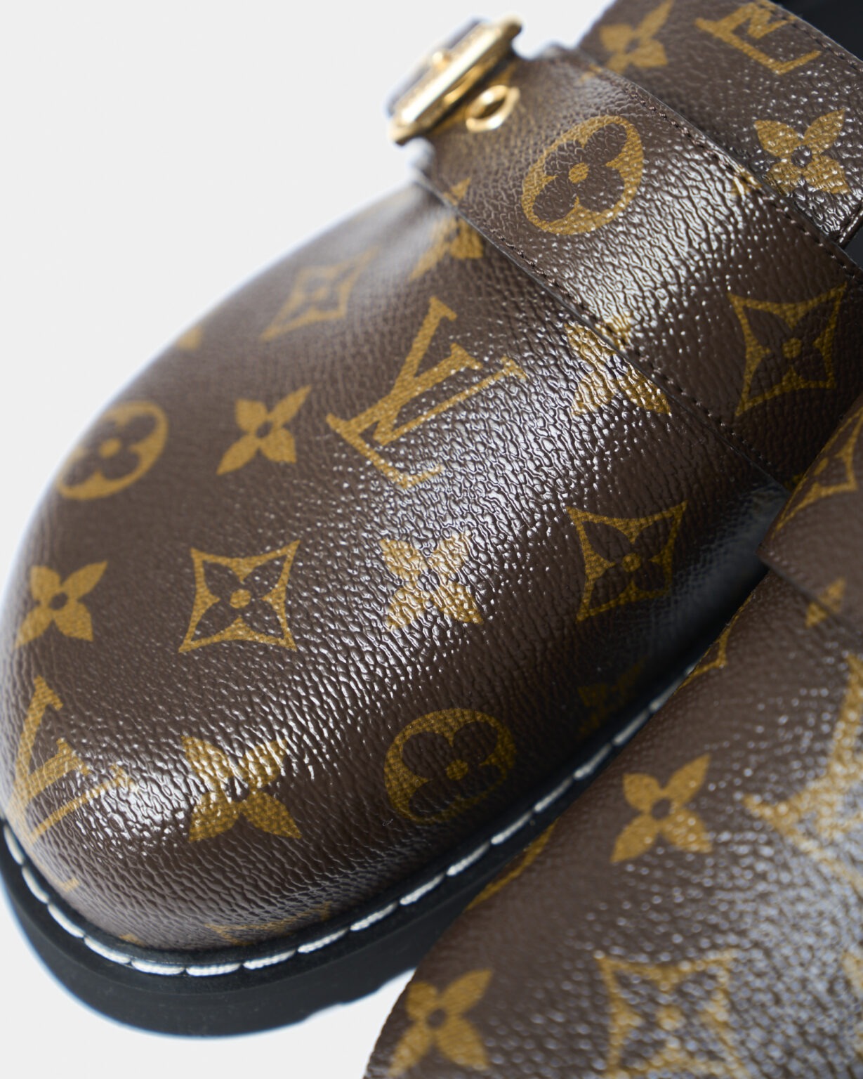 Louis Vuitton Cosy Comfort Clog Monogram